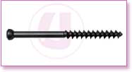 Spine Stainless Steel, Spine Titan, Product Instruments, Intervertebral Spacers, Bone Leaver, Elevator, Screws, Anchors, Arthroscopy, LCP Instruments Set, LCP Plates, Trauma Nail System, MND Interlocking Nailing System, Trauma Plates, Trauma, Trauma Screws
