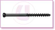 Spine Stainless Steel, Spine Titan, Product Instruments, Intervertebral Spacers, Bone Leaver, Elevator, Screws, Anchors, Arthroscopy, LCP Instruments Set, LCP Plates, Trauma Nail System, MND Interlocking Nailing System, Trauma Plates, Trauma, Trauma Screws