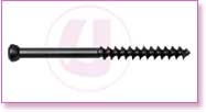 Spine Stainless Steel, Spine Titan, Product Instruments, Intervertebral Spacers, Bone Leaver, Elevator, Screws, Anchors, Arthroscopy, LCP Instruments Set, LCP Plates, Trauma Nail System, MND Interlocking Nailing System, Trauma Plates, Trauma, Trauma Screws