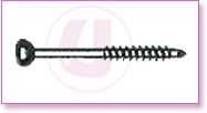 Spine Stainless Steel, Spine Titan, Product Instruments, Intervertebral Spacers, Bone Leaver, Elevator, Screws, Anchors, Arthroscopy, LCP Instruments Set, LCP Plates, Trauma Nail System, MND Interlocking Nailing System, Trauma Plates, Trauma, Trauma Screws